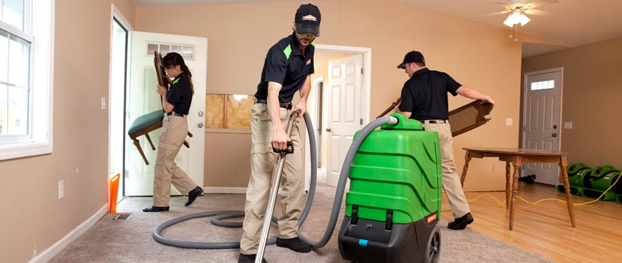 Sylvania, OH cleaning services